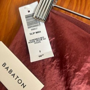 Aritzia Babaton Skirt